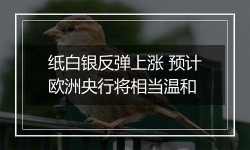 纸白银反弹上涨 预计欧洲央行将相当温和