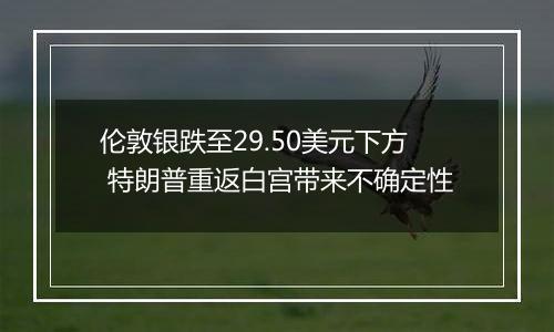 伦敦银跌至29.50美元下方 特朗普重返白宫带来不确定性