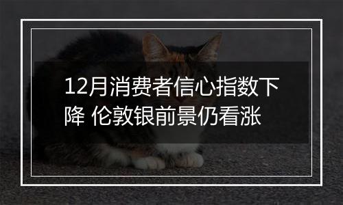 12月消费者信心指数下降 伦敦银前景仍看涨