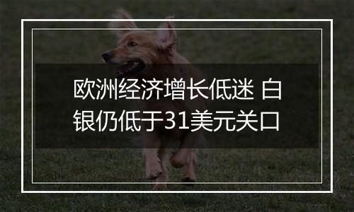 欧洲经济增长低迷 白银仍低于31美元关口