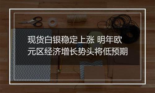 现货白银稳定上涨 明年欧元区经济增长势头将低预期