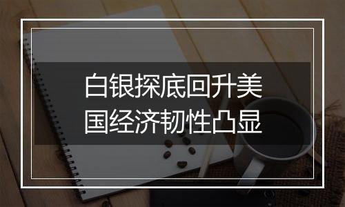 白银探底回升美国经济韧性凸显