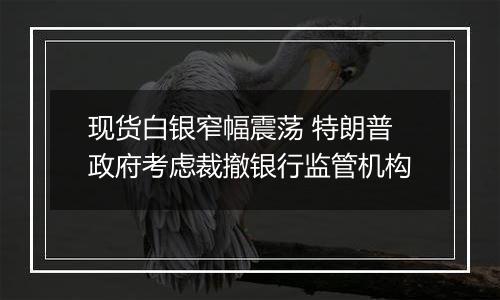 现货白银窄幅震荡 特朗普政府考虑裁撤银行监管机构