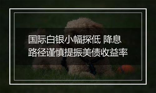 国际白银小幅探低 降息路径谨慎提振美债收益率