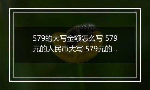579的大写金额怎么写 579元的人民币大写 579元的数字大写