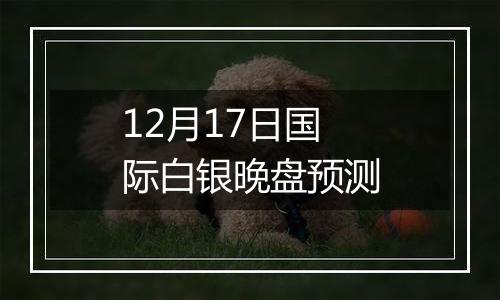 12月17日国际白银晚盘预测