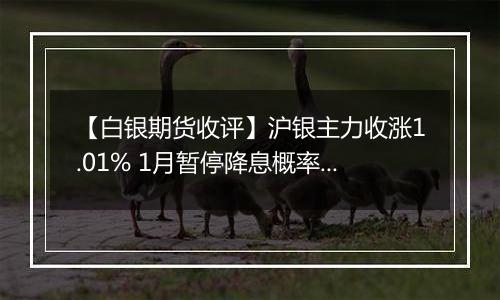 【白银期货收评】沪银主力收涨1.01% 1月暂停降息概率超90%