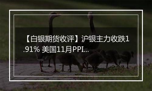 【白银期货收评】沪银主力收跌1.91% 美国11月PPI显著高于预期