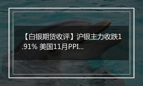 【白银期货收评】沪银主力收跌1.91% 美国11月PPI显著高于预期