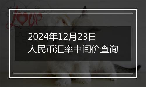 2024年12月23日人民币汇率中间价查询