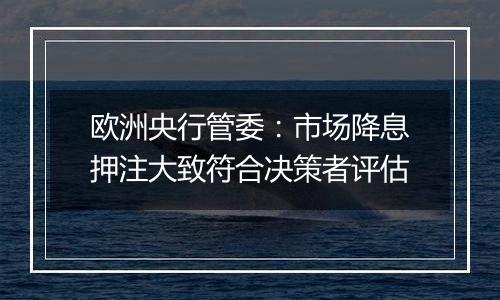 欧洲央行管委:市场降息押注大致符合决策者评估