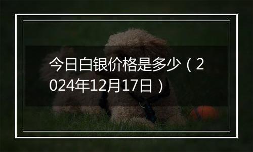 今日白银价格是多少(2024年12月17日)