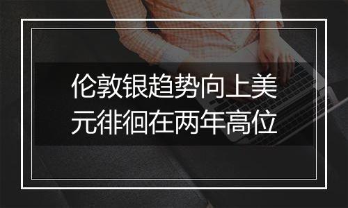 伦敦银趋势向上美元徘徊在两年高位