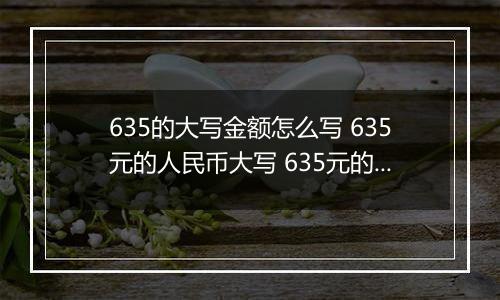 635的大写金额怎么写 635元的人民币大写 635元的数字大写