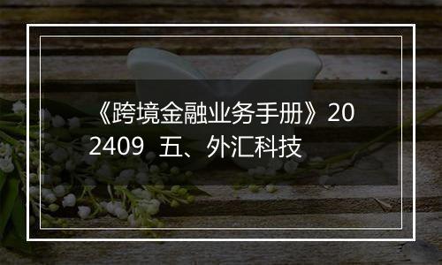 《跨境金融业务手册》202409 五、外汇科技