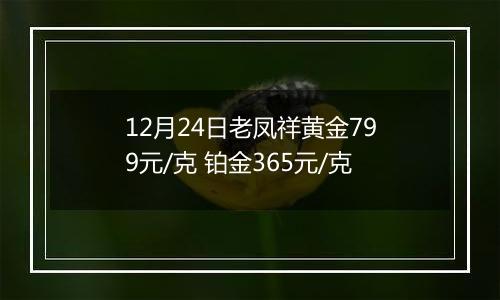 12月24日老凤祥黄金799元/克 铂金365元/克