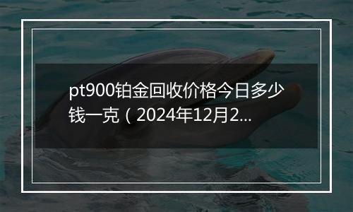 pt900铂金回收价格今日多少钱一克(2024年12月23日)