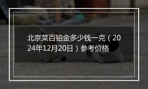 北京菜百铂金多少钱一克（2024年12月20日）参考价格