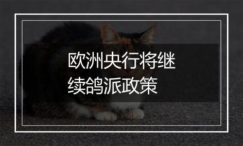 欧洲央行将继续鸽派政策