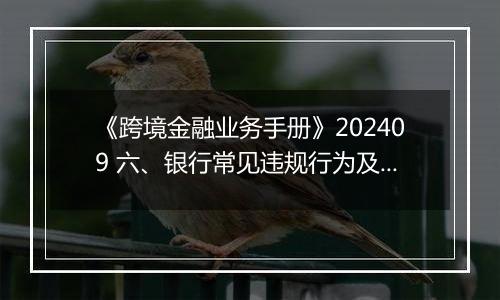 《跨境金融业务手册》202409 六、银行常见违规行为及适用罚则