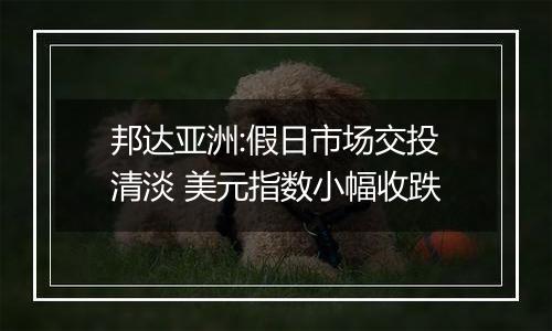 邦达亚洲:假日市场交投清淡 美元指数小幅收跌