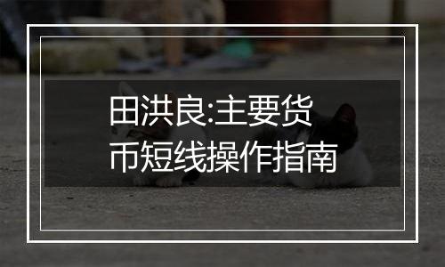 田洪良:主要货币短线操作指南