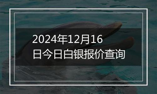 2024年12月16日今日白银报价查询