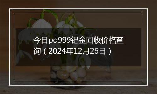 今日pd999钯金回收价格查询(2024年12月26日)