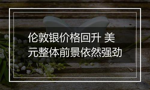 伦敦银价格回升 美元整体前景依然强劲