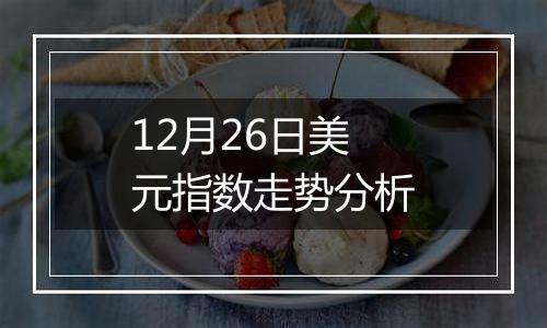 12月26日美元指数走势分析