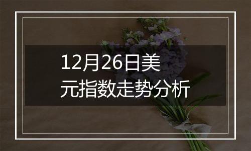 12月26日美元指数走势分析