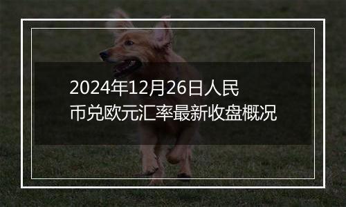 2024年12月26日人民币兑欧元汇率最新收盘概况