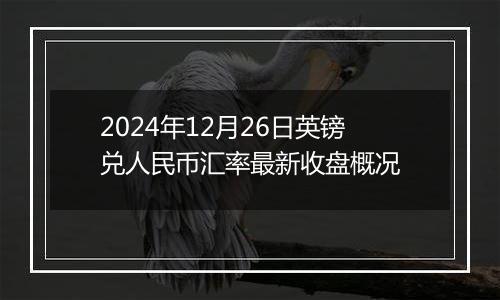 2024年12月26日英镑兑人民币汇率最新收盘概况