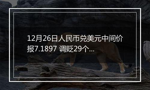 12月26日人民币兑美元中间价报7.1897 调贬29个基点