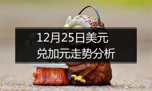 12月25日美元兑加元走势分析