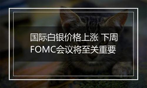 国际白银价格上涨 下周FOMC会议将至关重要