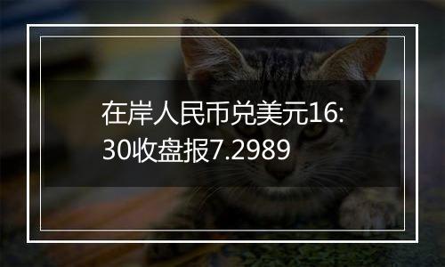 在岸人民币兑美元16:30收盘报7.2989