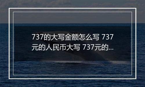 737的大写金额怎么写 737元的人民币大写 737元的数字大写