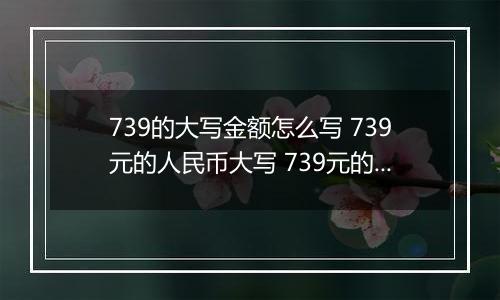 739的大写金额怎么写 739元的人民币大写 739元的数字大写