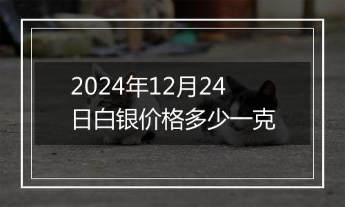 2024年12月24日白银价格多少一克