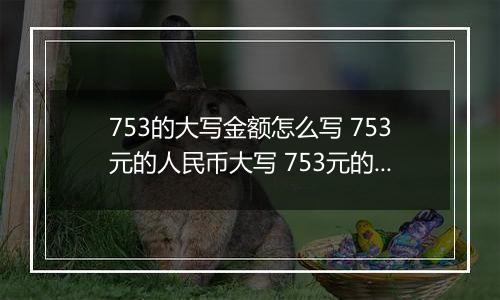 753的大写金额怎么写 753元的人民币大写 753元的数字大写