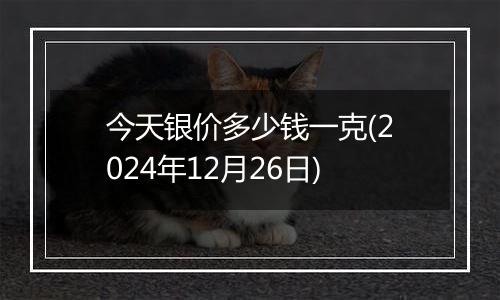 今天银价多少钱一克(2024年12月26日)