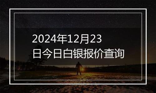 2024年12月23日今日白银报价查询