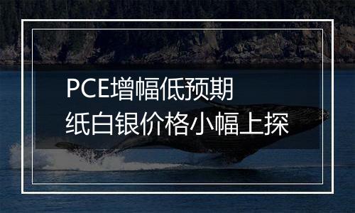 PCE增幅低预期 纸白银价格小幅上探