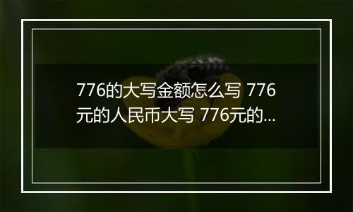 776的大写金额怎么写 776元的人民币大写 776元的数字大写