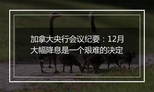 加拿大央行会议纪要:12月大幅降息是一个艰难的决定