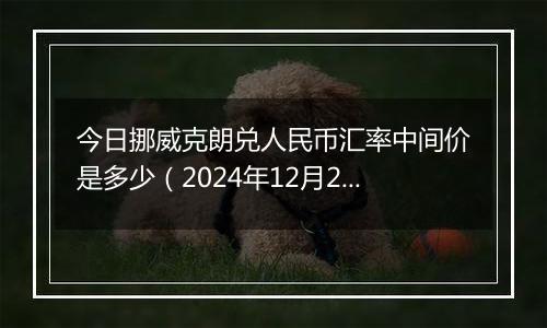 今日挪威克朗兑人民币汇率中间价是多少(2024年12月27日)