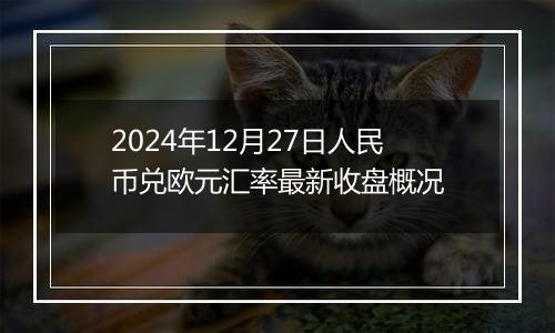 2024年12月27日人民币兑欧元汇率最新收盘概况