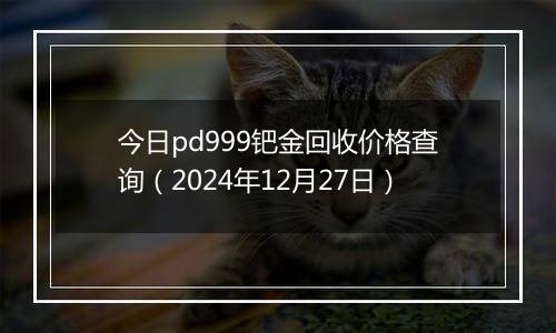 今日pd999钯金回收价格查询(2024年12月27日)