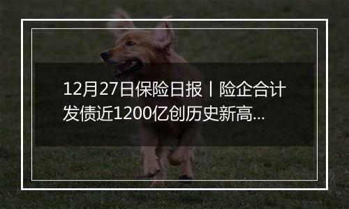 12月27日保险日报丨险企合计发债近1200亿创历史新高,年内15家险企股权挂牌,险企奋战“开门红”!